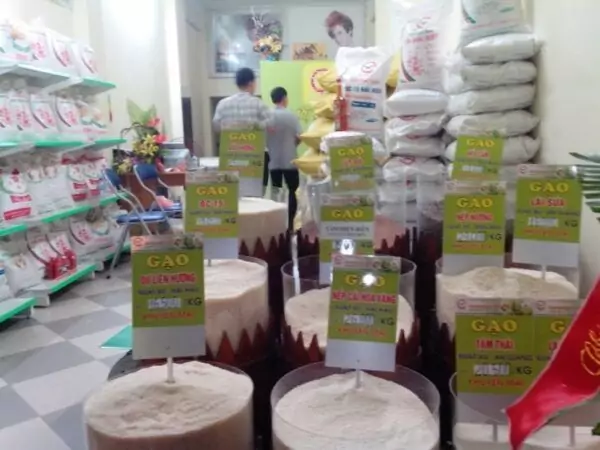 máy cưa bàn mini giá rẻ