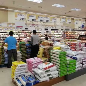 Thiet Ke Cua Hang Gao Nho (2)