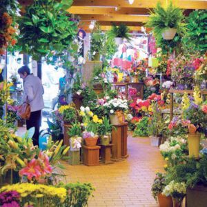 hpdecor.vn-thiết kế shop hoa tươi nhỏ