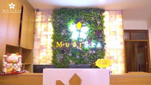 Muoi Spa 1