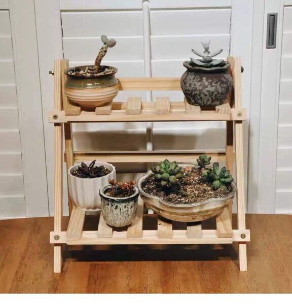 Ke Trung Bay Sen Da 15 1